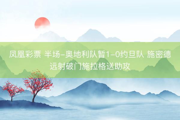 凤凰彩票 半场-奥地利队暂1-0约旦队 施密德远射破门施拉格送助攻